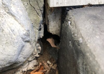 A close-up of a house foundation shows a significant crack between concrete blocks where the exterior wall meets the ground. Dried leaves and small wooden debris are scattered at the base of the wall near the crack.