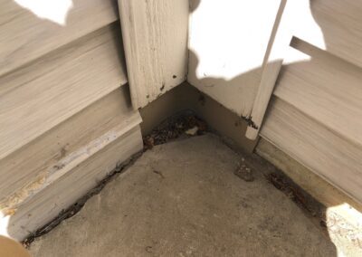 Close-up of a corner where the exterior wall and the concrete ground meet. The siding is beige with some damage and dirt near the corner. The ground is slightly cracked and has some debris, including leaves and small rocks, gathered in the corner.